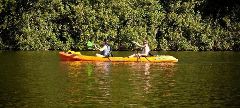 Kauai Secret Falls Guided Kayak Tour - 7:15am or 12:45pm