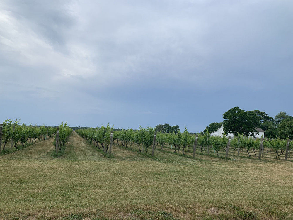 SelfGuided Countryside 8.5 Mile Route Plan And Bike Mattituck