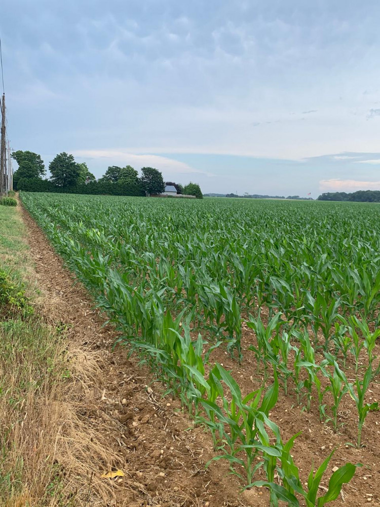 SelfGuided Countryside 8.5 Mile Route Plan And Bike Mattituck