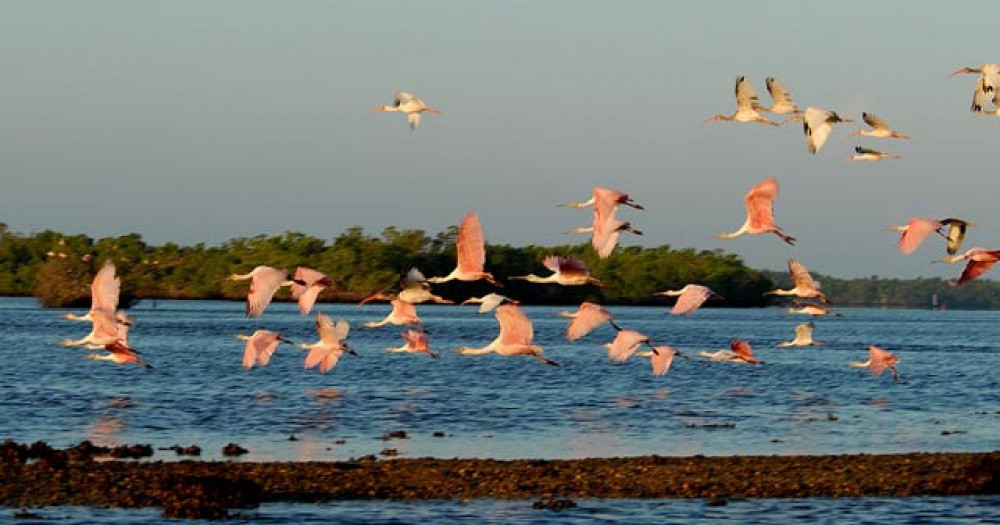 Everglades National Park Expedition