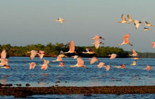 Everglades Area Tours1