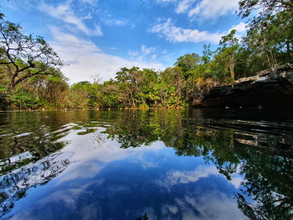 jungle near tulum