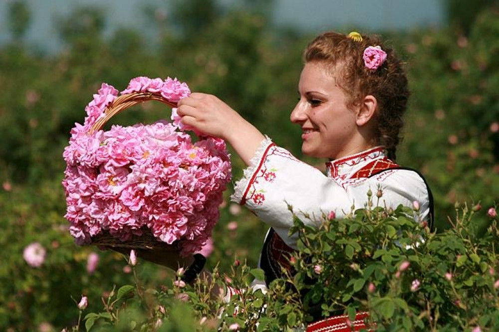 The Valley of the Roses and Koprivshtitsa