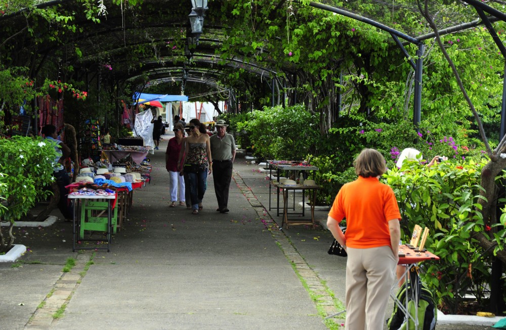 The Biodiversity Museum: Panama Bridge of Life