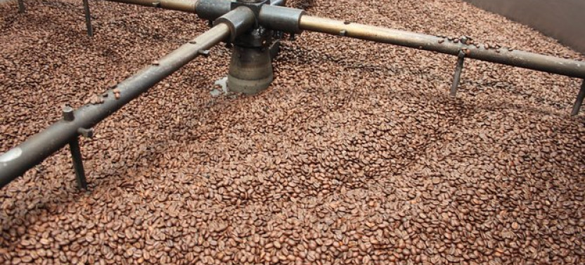 Coffee Tour And Beautiful Hacienda Gardens Near Bogotá