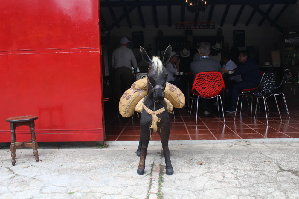 Coffee Tour And Beautiful Hacienda Gardens Near Bogotá