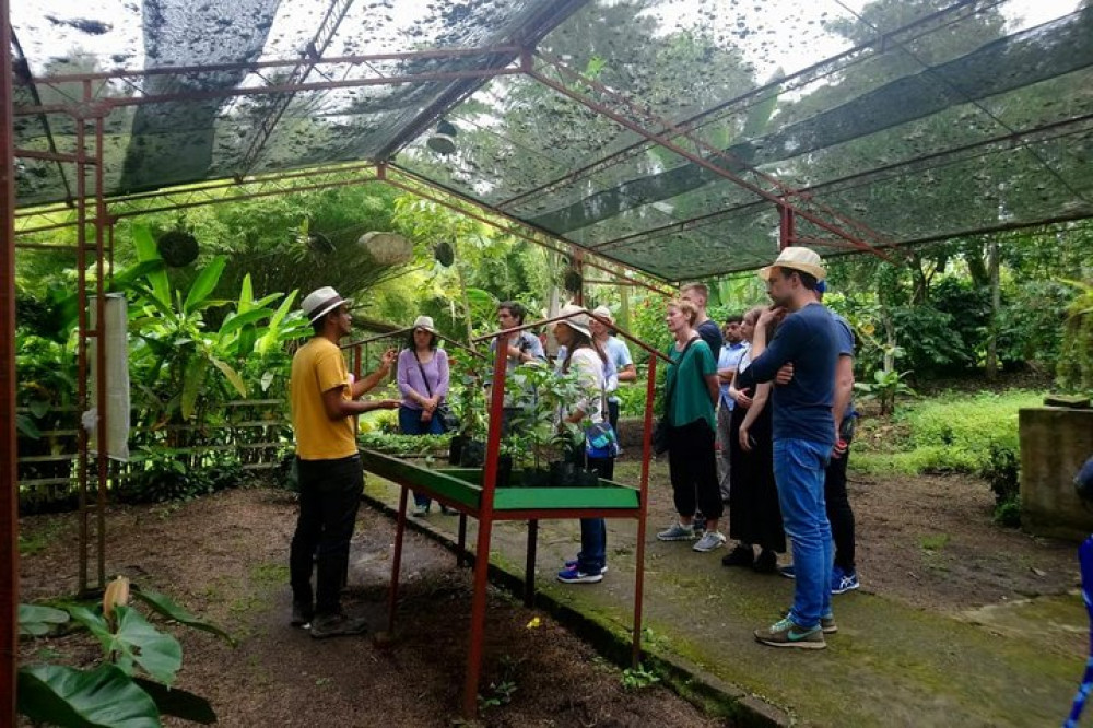 The Tequendama Waterfall and Beautiful Coffee Farm