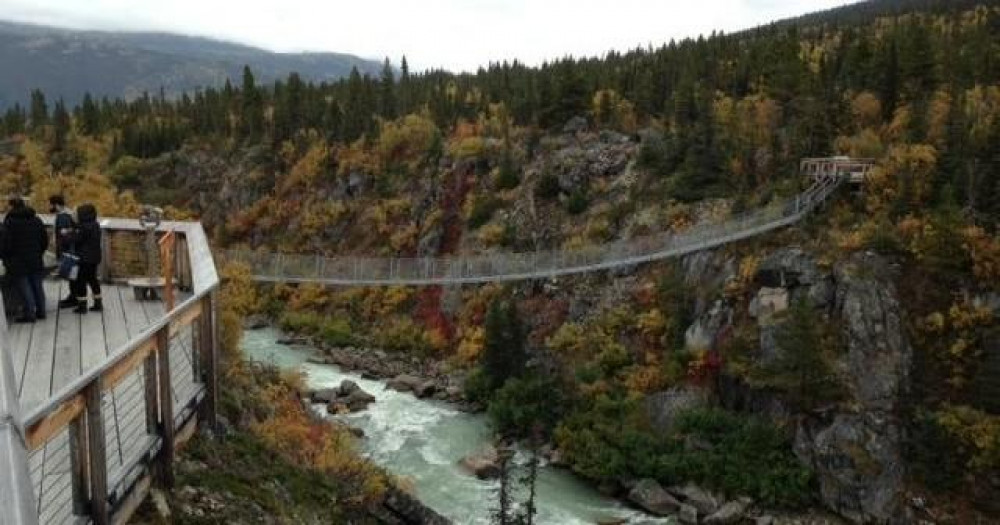 White Pass Summit and Yukon Suspension Bridge Tour from Skagway