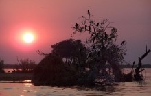 The Chobe River