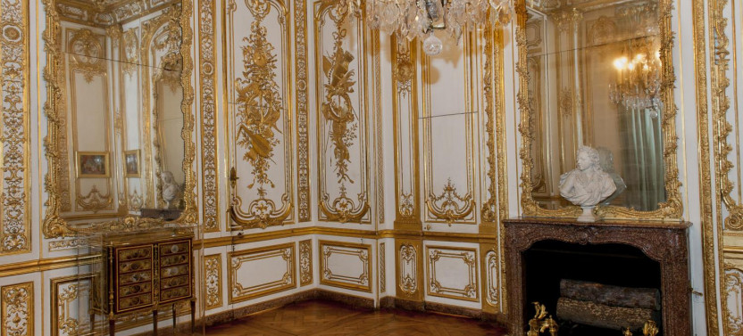 Guided Visit of Versailles Palace with Priority Access Passport