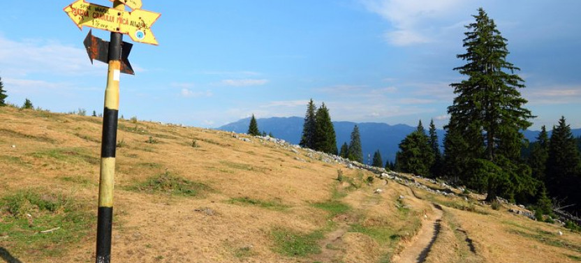Piatra Craiului National Park Private Hiking Tour from Brasov