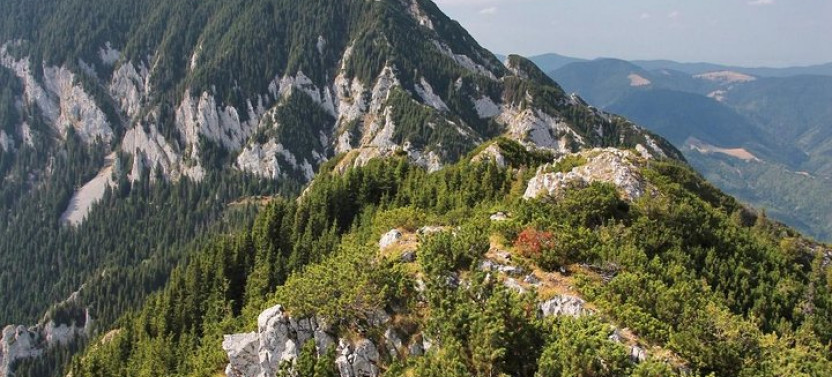 Piatra Craiului National Park Private Hiking Tour from Brasov