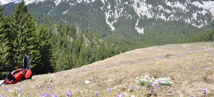 Piatra Craiului National Park Private Hiking Tour from Brasov