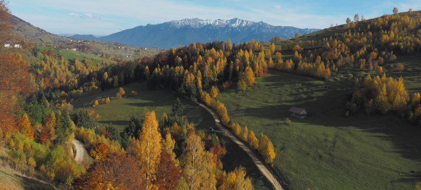 Piatra Craiului NP Eco-certified 2-Day Guided Trek from Brasov: