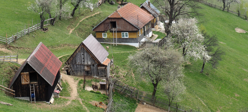 Piatra Craiului NP Eco-certified 2-Day Guided Trek from Brasov: