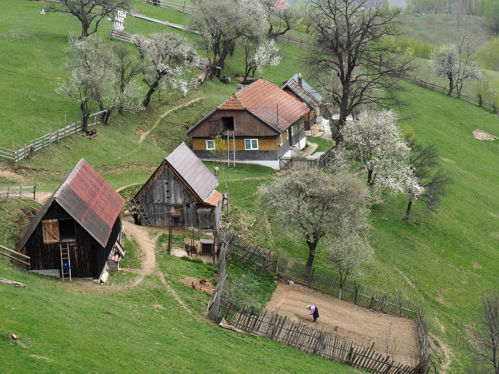 Piatra Craiului NP Eco-certified 2-Day Guided Trek from Brasov: