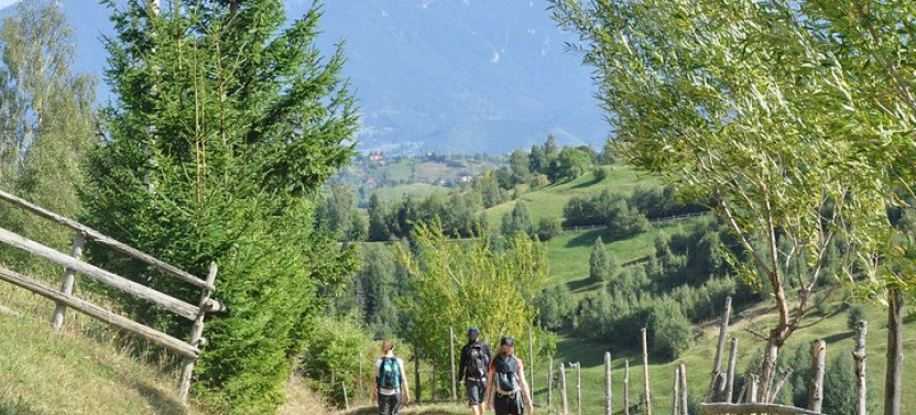 Small Group Romanian Authentic Mountain Village Trip from Brasov