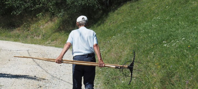 Small Group Romanian Authentic Mountain Village Trip from Brasov