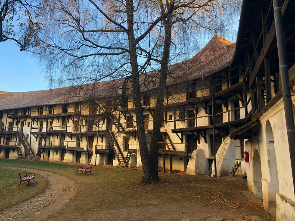 Small-Group Half-Day Fortified Churches Tour from Brasov