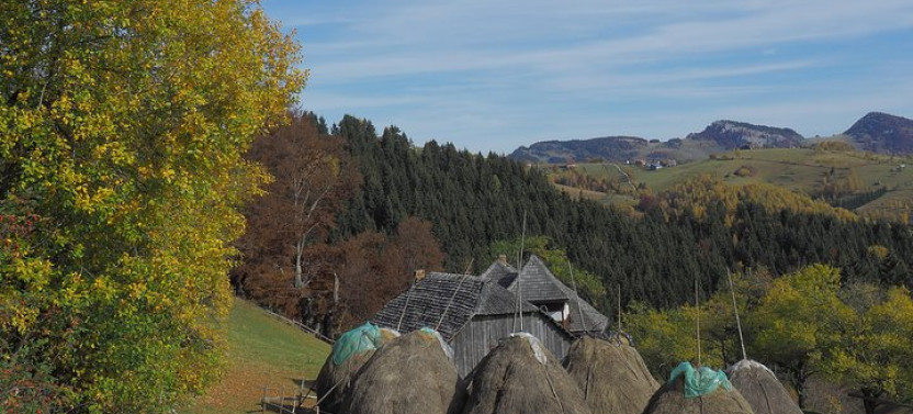 8-Day Village Life in Transylvanian Carpathian Mountains