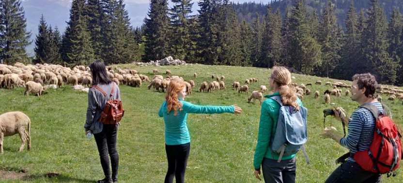 2-Day Small Group Transylvania Culture Trek Tour from Brasov