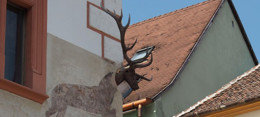 Small Group Tour Sighisoara, Rupea Fortress & Viscri from Brasov