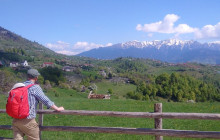 4-Day Carpathian Trek: Bucegi Mountains & Piatra Craiului Park