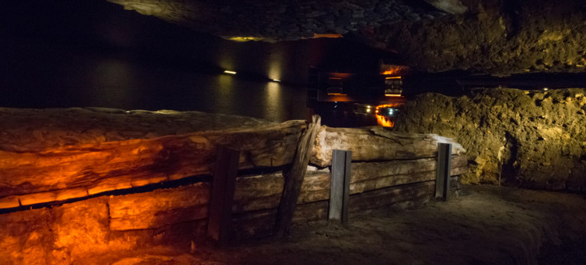 Wawel Castle, Cathedral and Rynek Underground Guided Tour