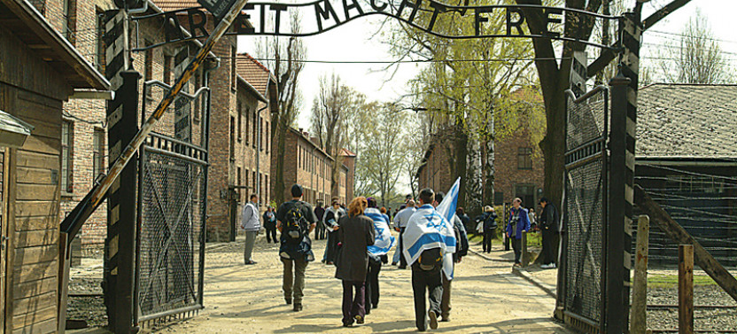 Auschwitz-Birkenau Museum and Memorial Guided Tour from Krakow