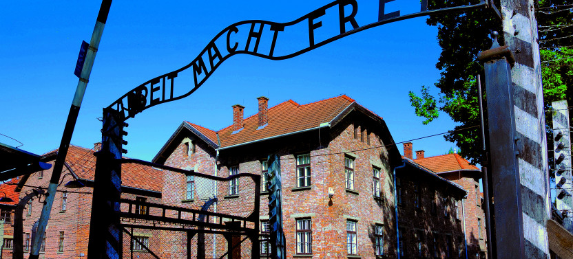 Auschwitz-Birkenau Museum and Memorial Guided Tour from Krakow