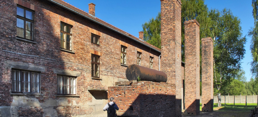 Auschwitz-Birkenau Museum and Memorial Guided Tour from Krakow