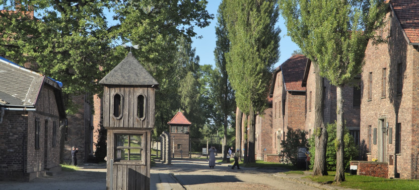 Auschwitz-Birkenau Museum and Memorial Guided Tour from Krakow
