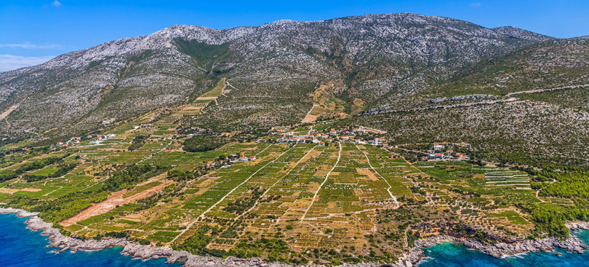 Private: Footsteps of Wine, Peljesac Wine Trail From Dubrovnik