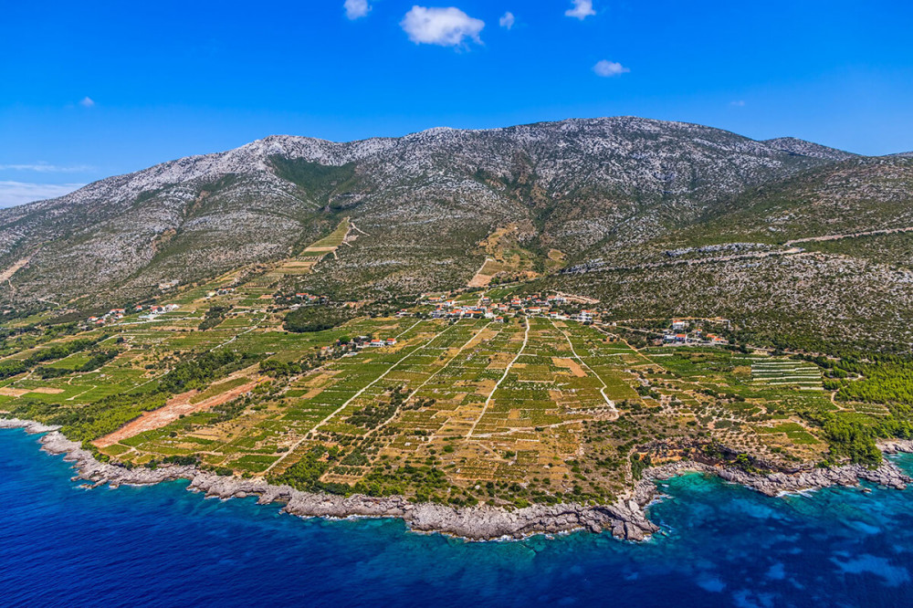 Follow The Footsteps Of Peljesac Wine Day Trip From Dubrovnik