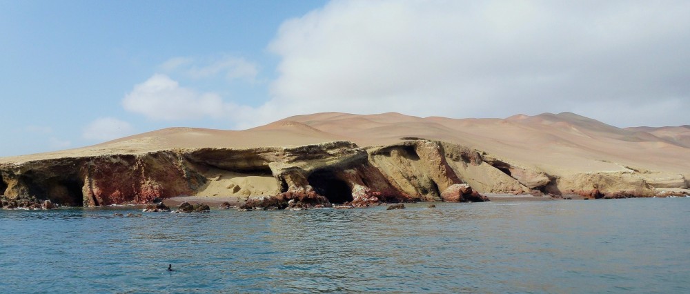 Paracas National Reserve