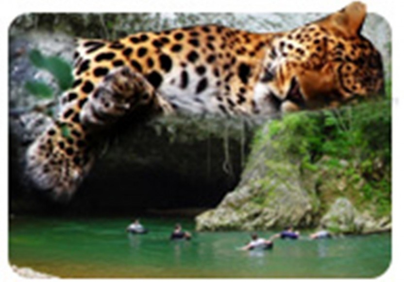 Cave Tubing and Belize Zoo
