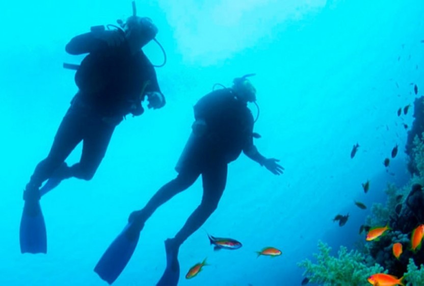 Scuba Diving: 1 Tank