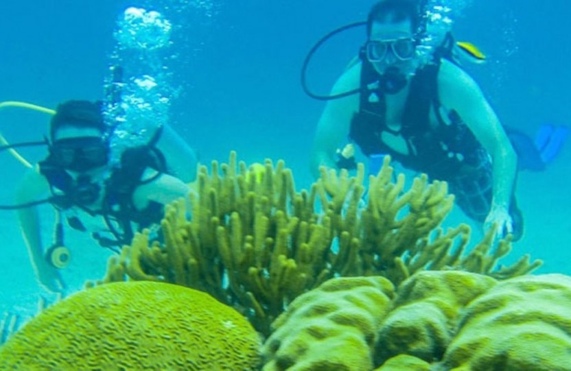 Scuba Diving: 2 Tanks