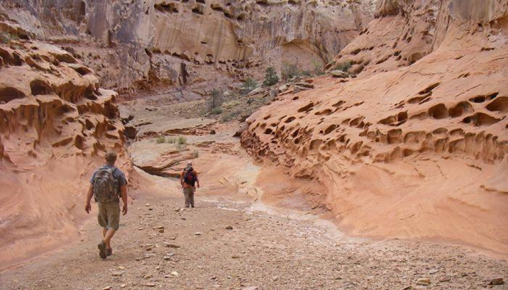 Utah Canyon Hiking - Half or Full Day