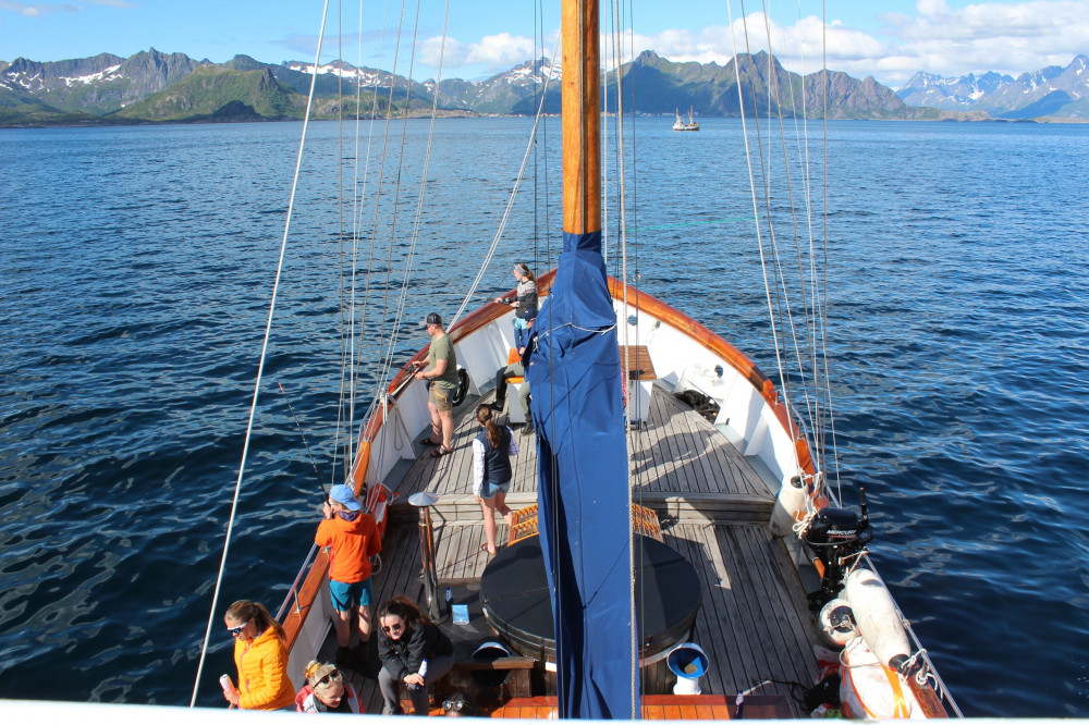 lofoten fishing trip