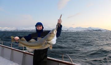 A picture of 3 Day Winter Cod Fishing from Tromsø