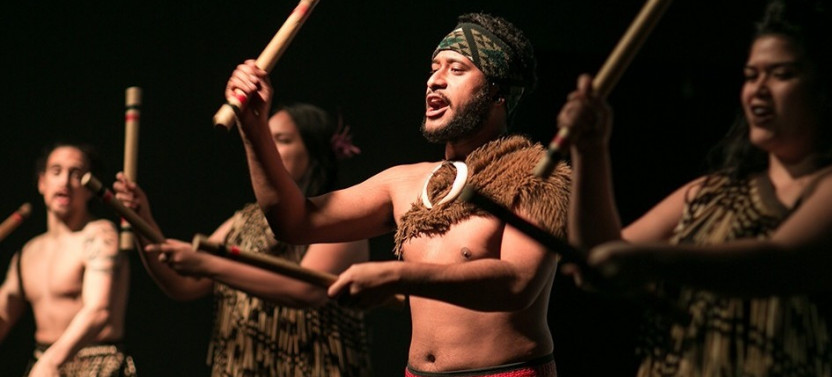 Auckland Maori Experience Private Tour
