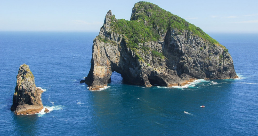 Bay of Islands Hole in the Rock Private Tour