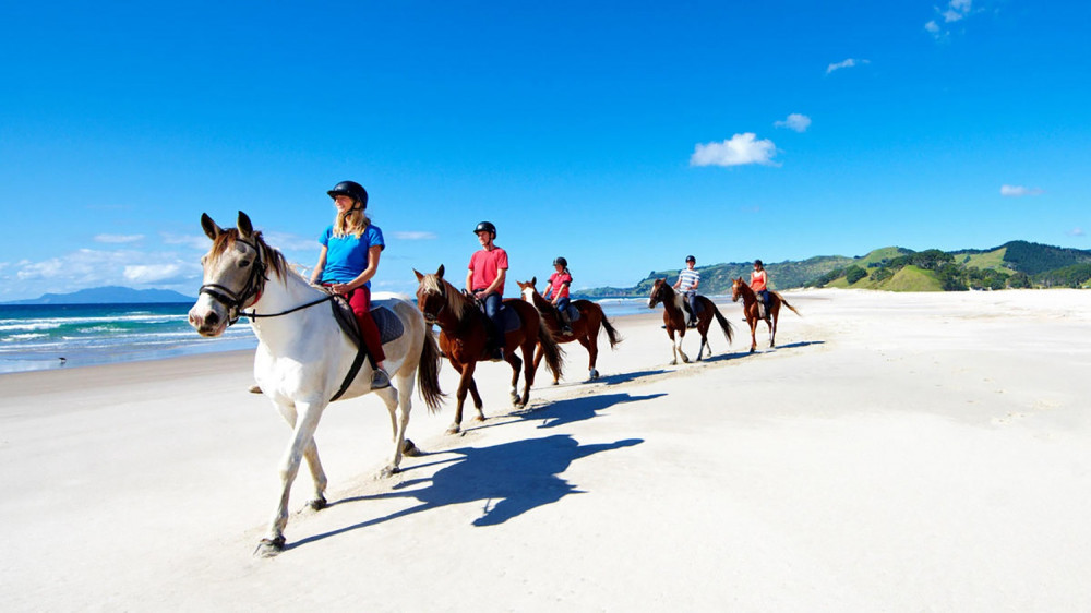 Horse Riding, Wine Tasting & Art Trail Private Tour