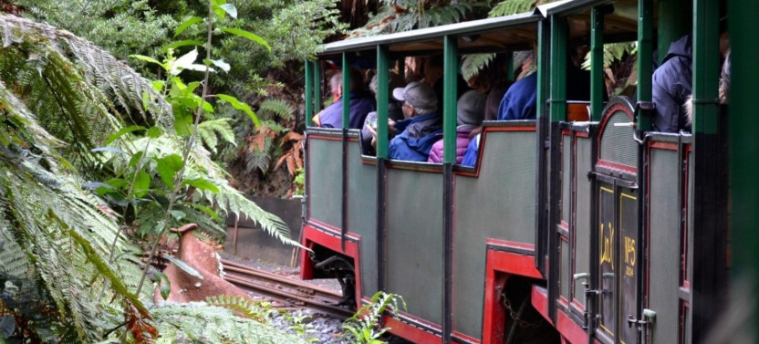 Coromandel Beach, Caves & Forest Private Tour