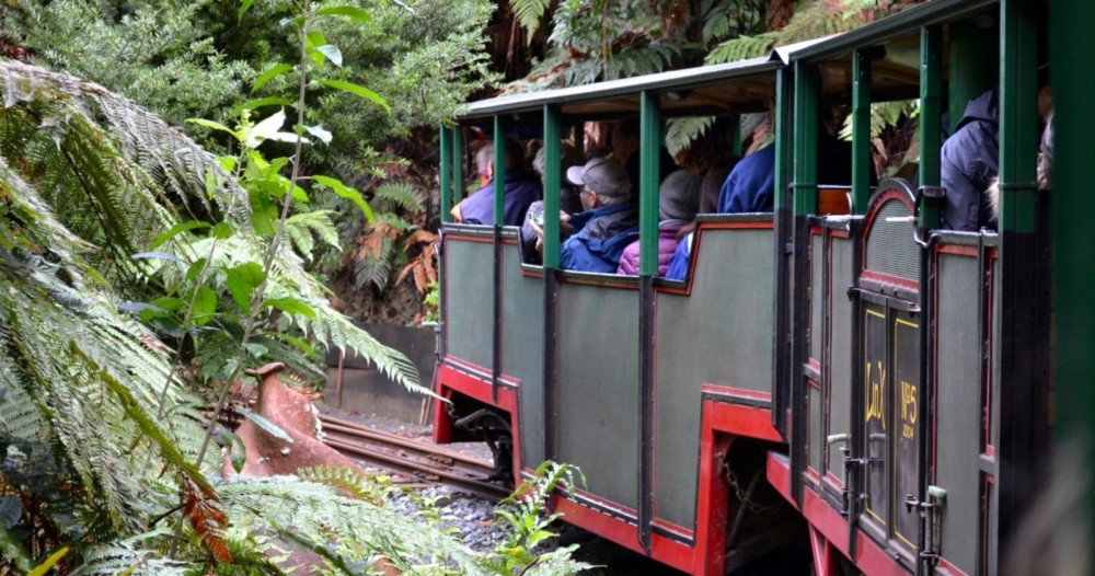 Coromandel Beach, Caves & Forest Private Tour