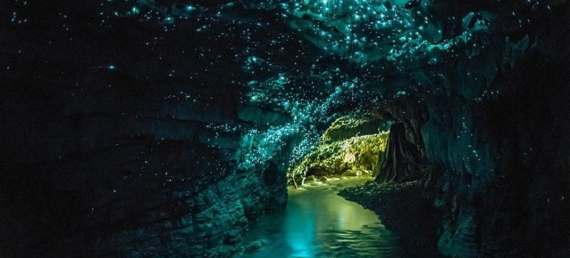 Hobbiton Movie Set & Waitomo Glow Worm Caves Private Tour