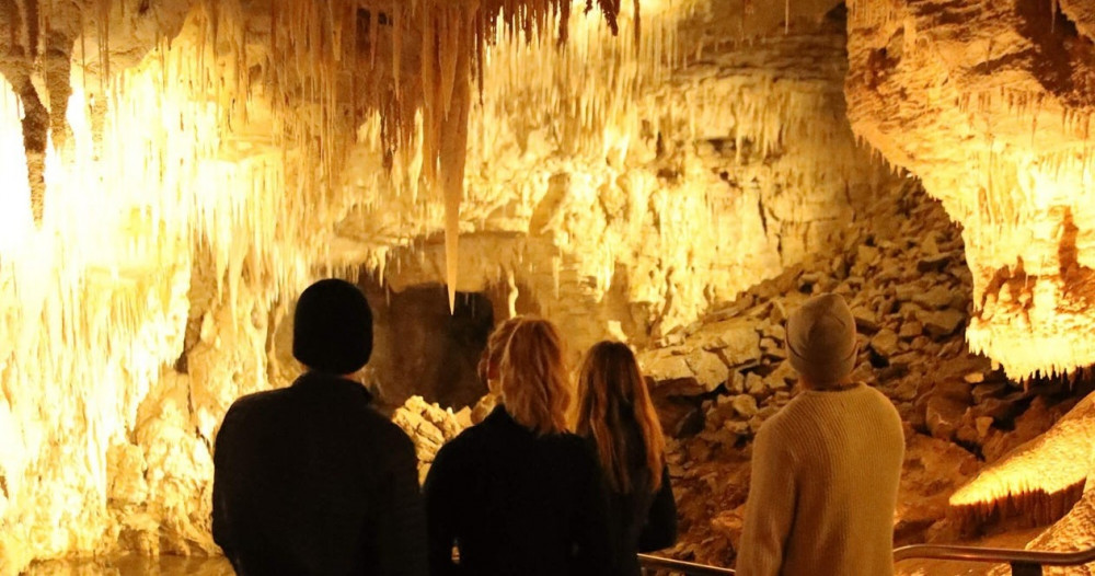 Waitomo Glow Worm Caves & Rotorua Geothermal Valley