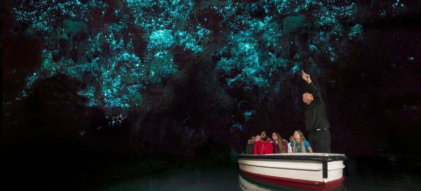 Waitomo Glowworm Cave Tour