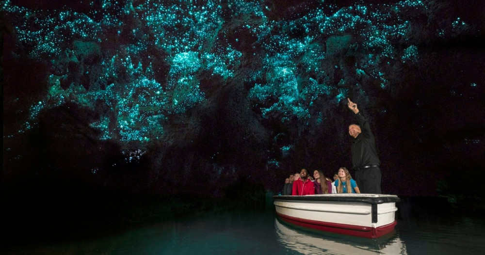 Waitomo Glowworm Cave Tour